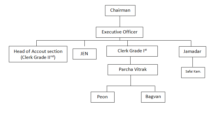 Organizational Chart